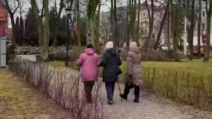 Почему после 55 лет нужно держаться от людей подальше: запомните мудрые слова Левитанского раз и на всю жизнь
