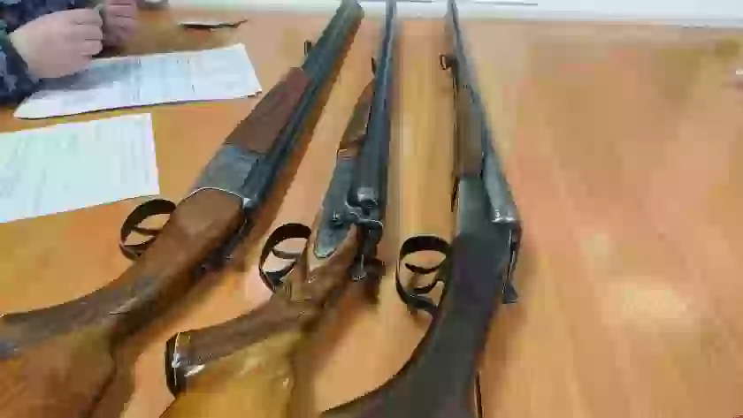 В Псковской области за неделю изъяли 24 единицы оружия у жителей