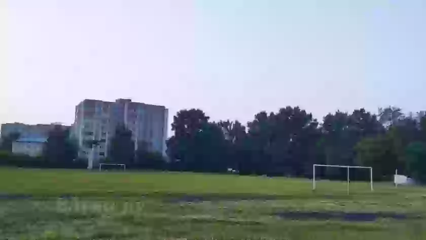 Уроженец Великих Лук Дмитрий Аленичев снова стал главным тренером тульского «Арсенала»