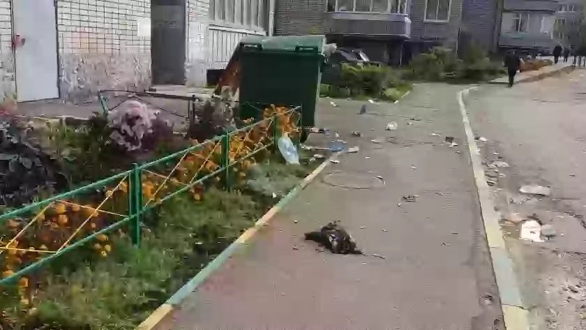 В Великих Луках женщина устроила «бомбардировку» тротуара вещами