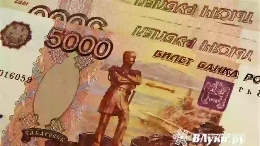 В Псковской области на социальные выплаты направили 227,9 млн рублей