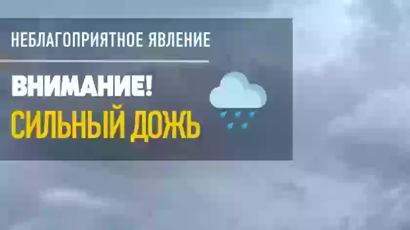 МЧС предупреждает о сильных дождях и ливнях в Псковской области