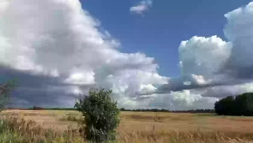 Прогноз погоды в Великих Луках на 24 августа