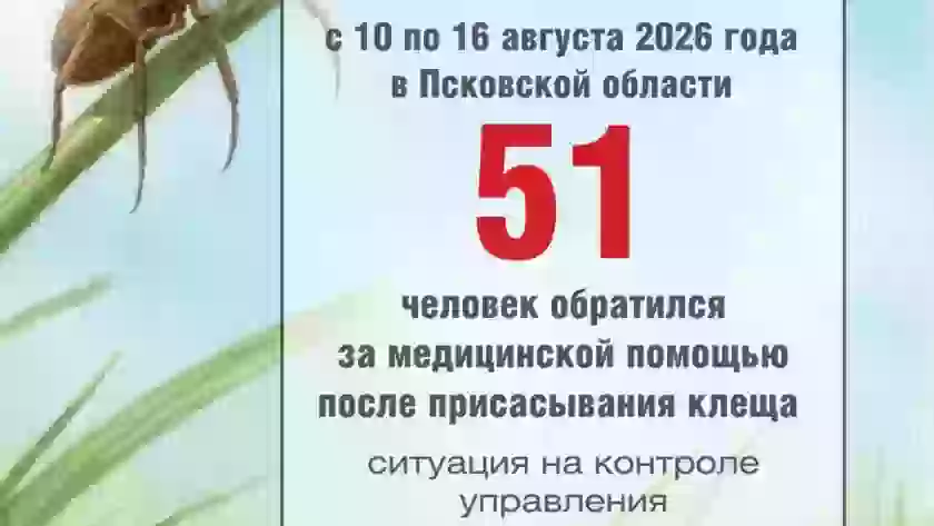 В Великих Луках с начала сезона зафиксировано 312 случаев присасывания клещей