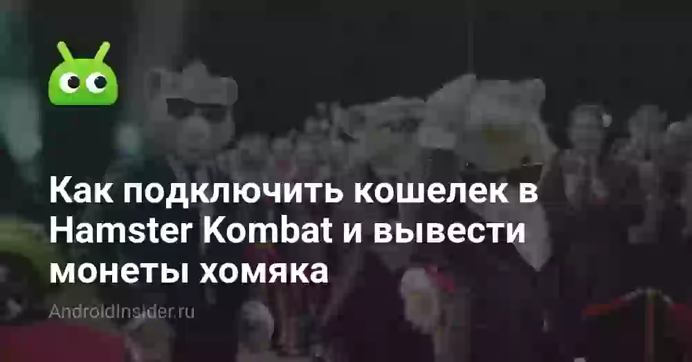 Как подключить кошелек в Hamster Kombat и вывести монеты хомяка