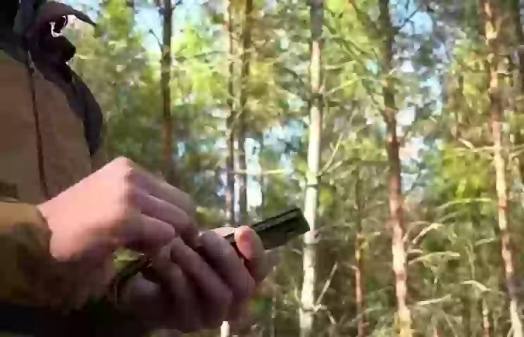 Как не заблудиться в лесу: лучшие приложения для грибников