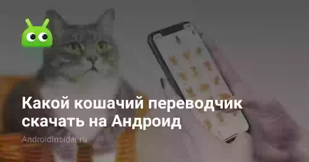Какой кошачий переводчик скачать на Андроид
