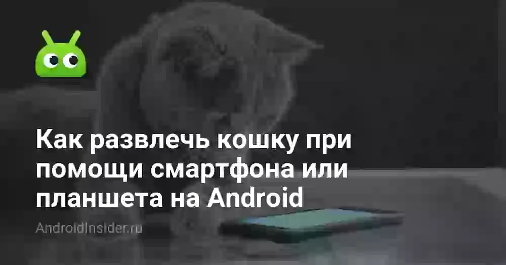 Как развлечь кошку при помощи смартфона или планшета на Android