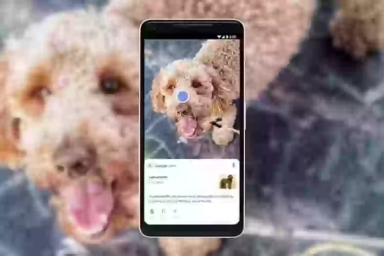 Что такое Google Lens, стоит ли его скачать и сколько людей уже сделали это
