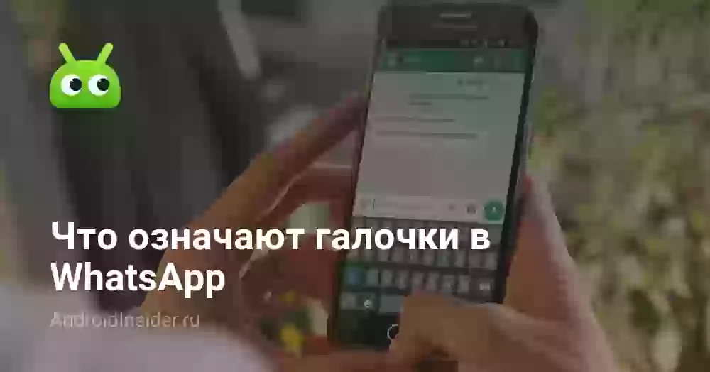 Что означают галочки в Ватсапе: одна и две
