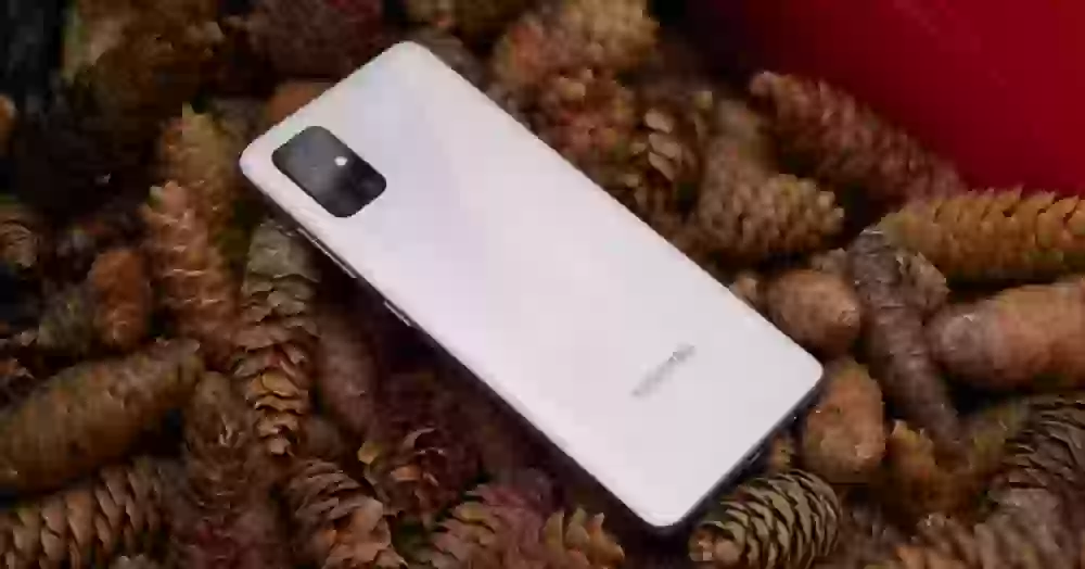 Какой смартфон Samsung в 2020 году станет самым популярным в России?