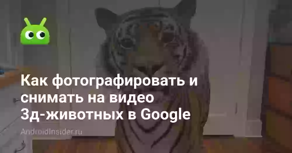 Как фотографировать и снимать на видео 3д-животных в Google