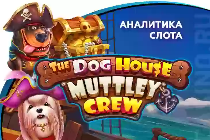 Аналитика слота The Dog House — Muttley Crew (Pragmatic Play)