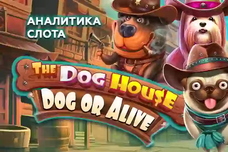 Аналитика слота The Dog House – Dog or Alive (Pragmatic Play)