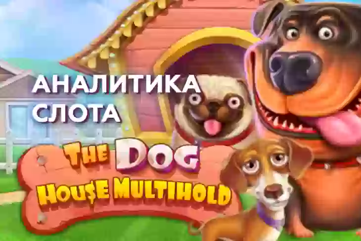 Аналитика слота The Dog House Multihold (Pragmatic Play)