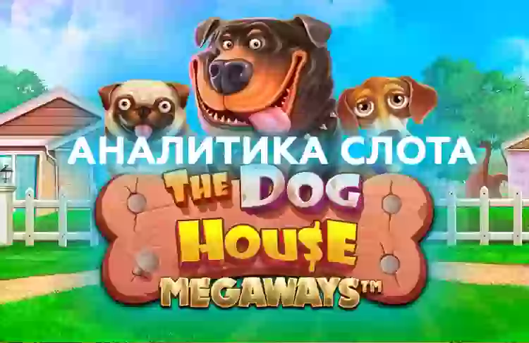 Аналитика слота The Dog House Megaways (Pragmatic Play)