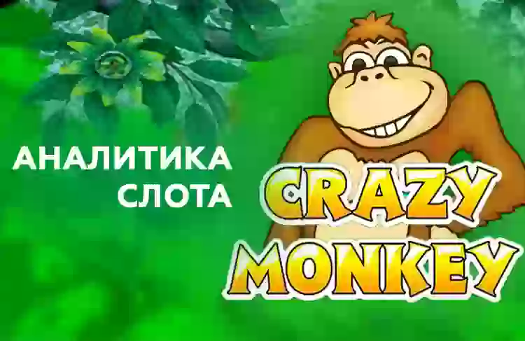 Аналитика слота Crazy Monkey (Igrosoft)