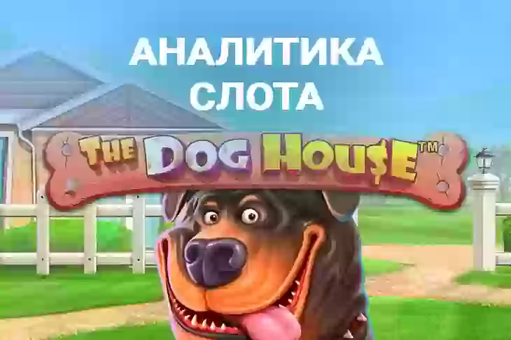 Аналитика слота The Dog House (Pragmatic Play)