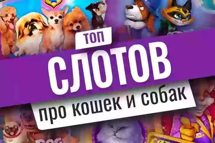 ТОП-10 игровых автоматов о собаках и кошках