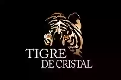 Казино Tigre de Cristal в Приморье