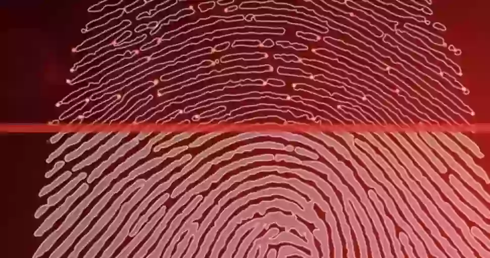 Как это работает: встроенный в дисплей сканер отпечатка пальца