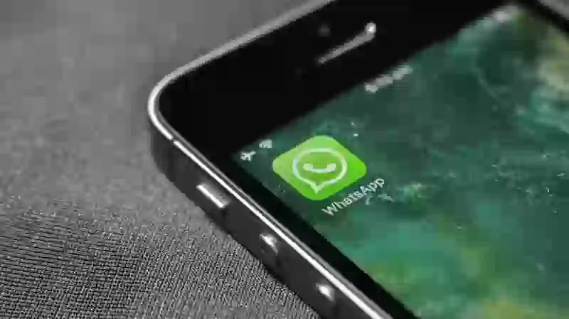 Все о бэкапе данных в WhatsApp
